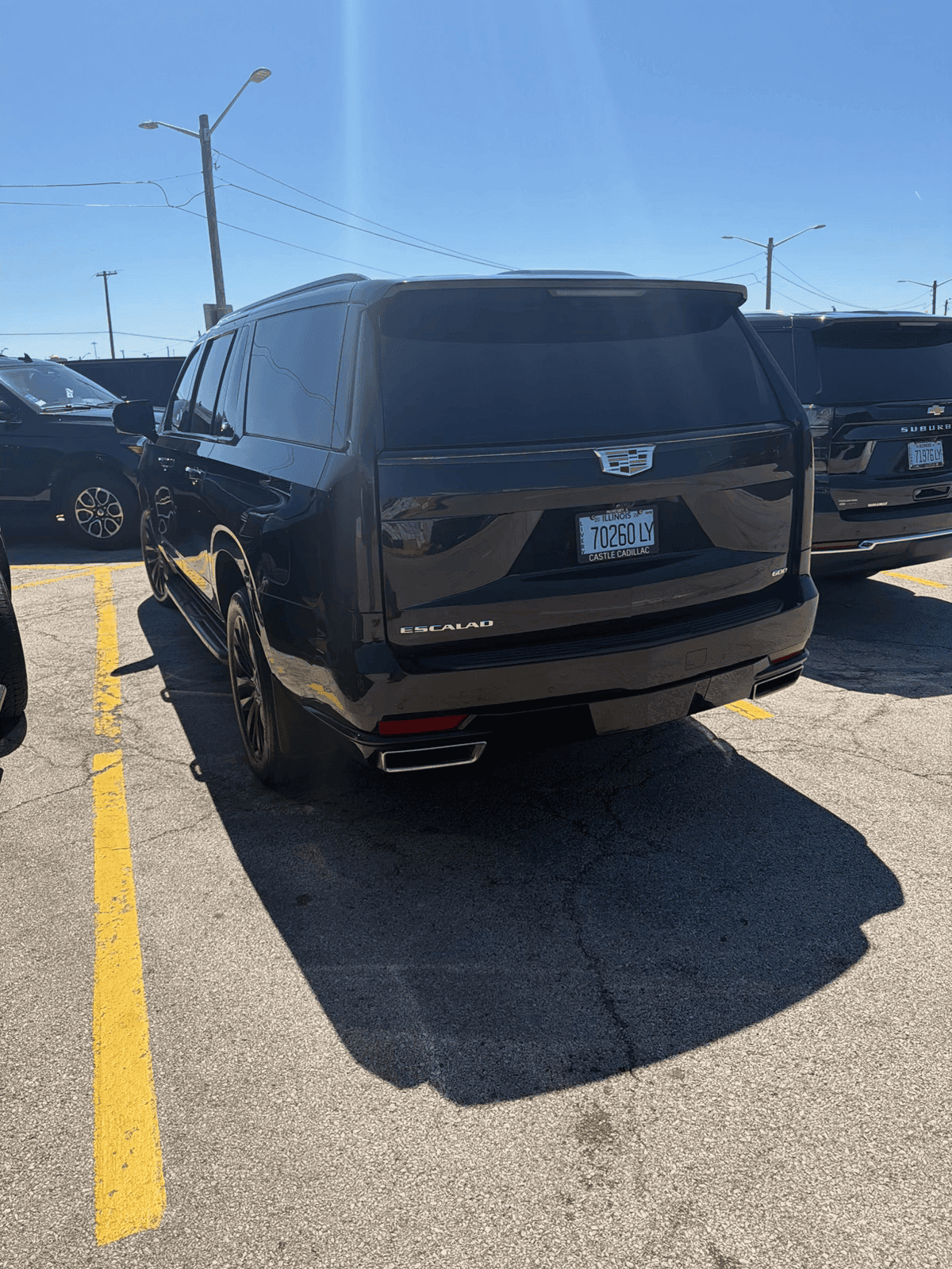 Rear view of a black Cadillac Escalade parked in a sunny asphalt parking lot.